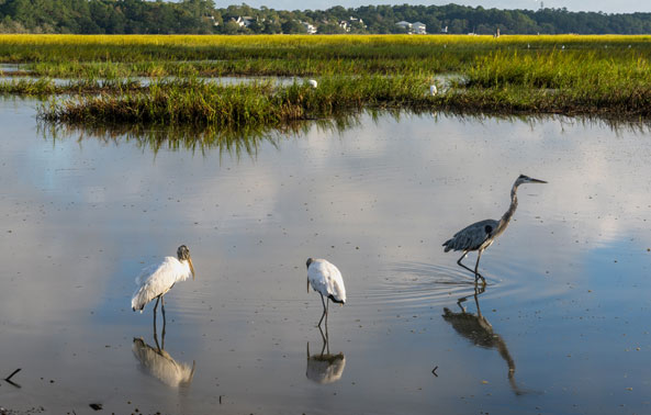 Huntington Beach State Park